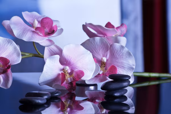 Orchidées et pierres chaudes ambiance spa